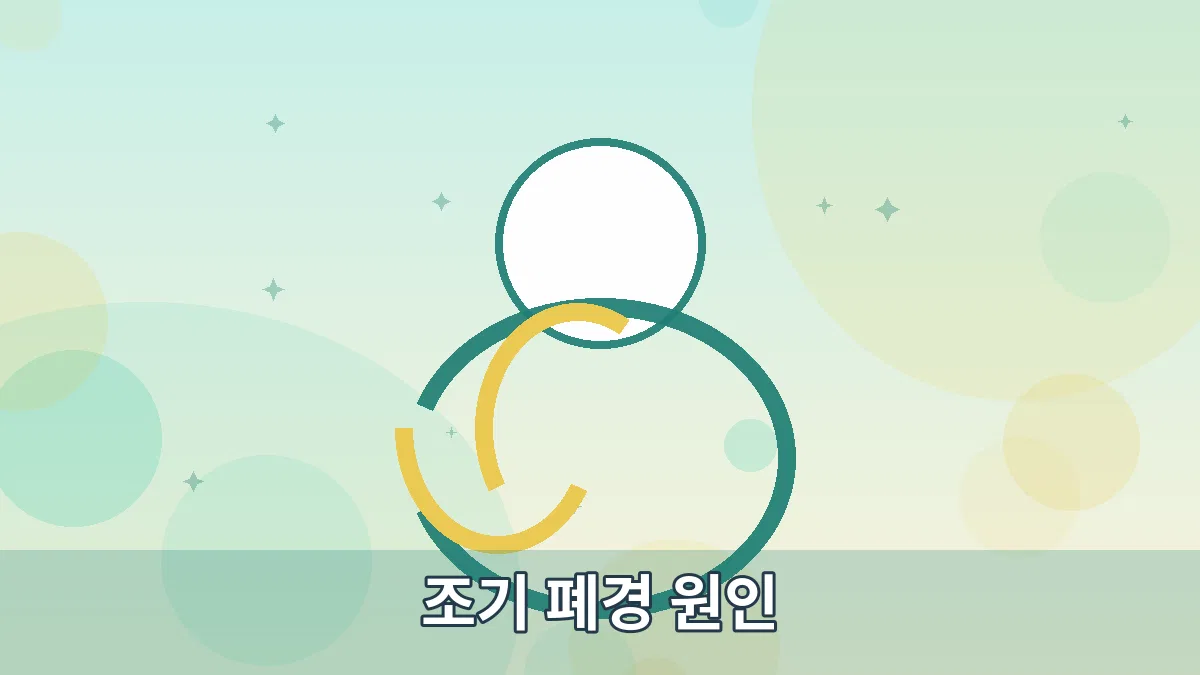 조기 폐경 원인 안내 이미지 4