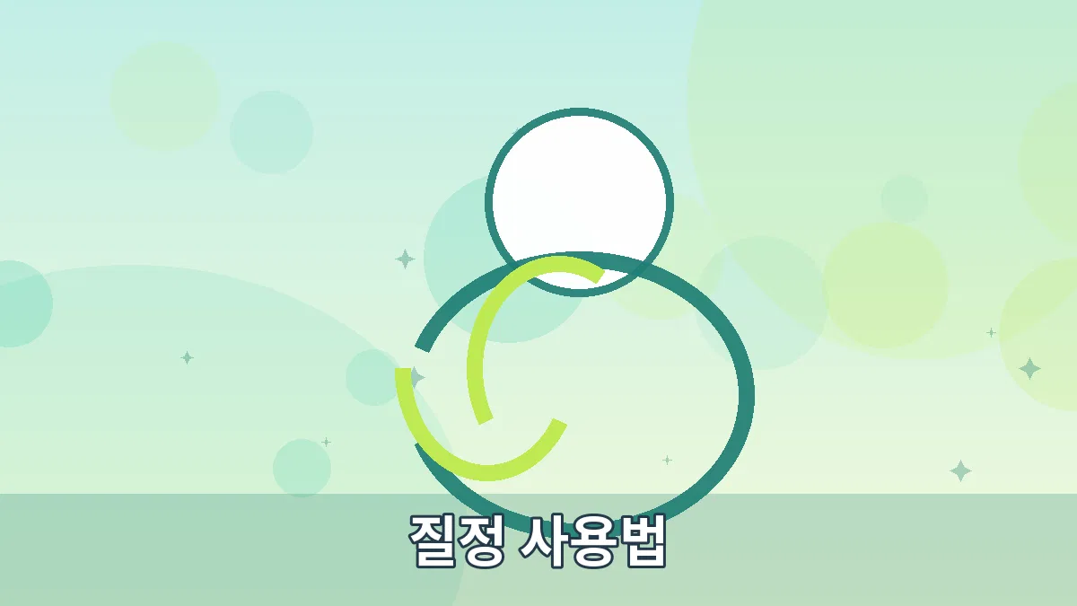 질정 사용법 안내 이미지 5