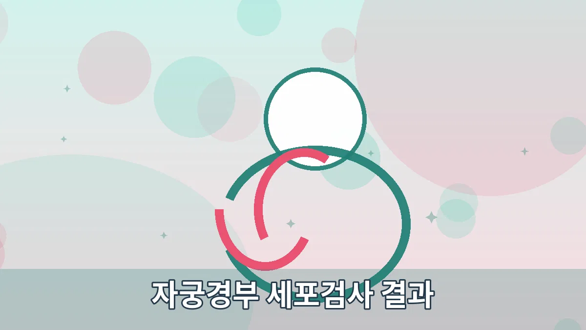 자궁경부 세포검사 결과 안내 이미지 2
