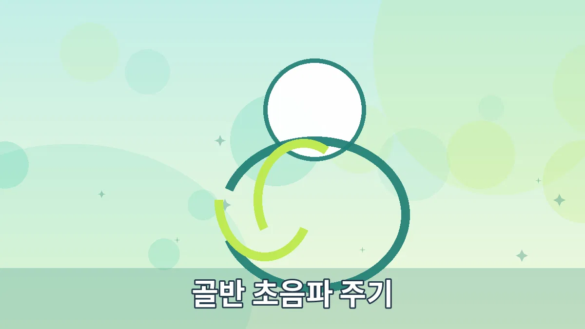 골반 초음파 주기 안내 이미지 5