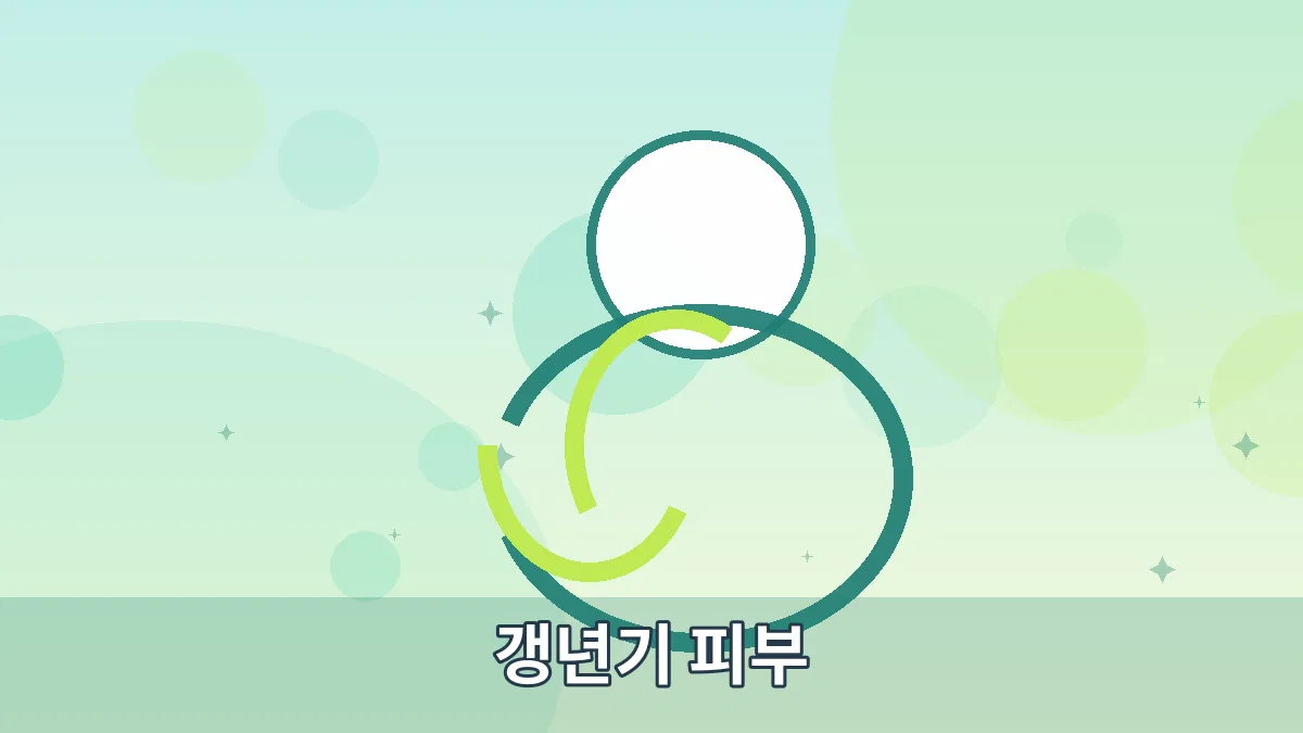 갱년기 피부 안내 이미지 5