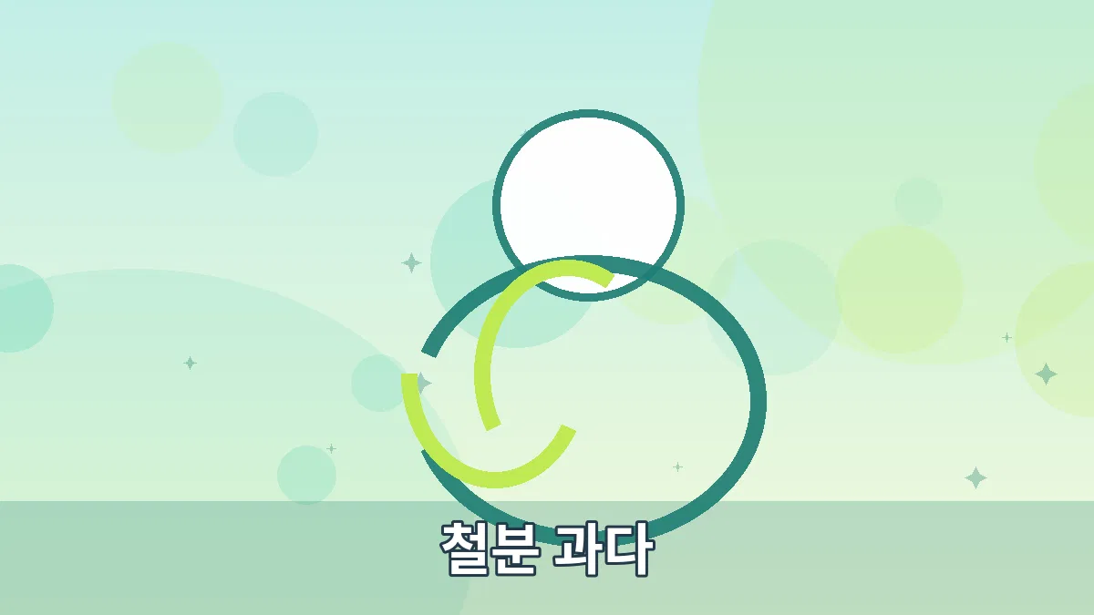 철분 과다 안내 이미지 5